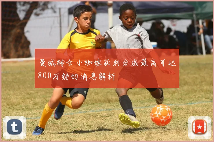 曼城转会小蜘蛛获利分成最高可达800万镑的消息解析