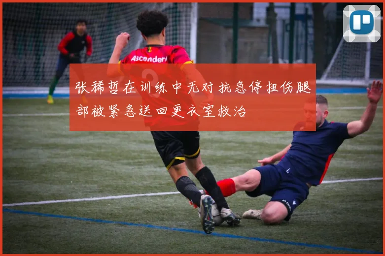 张稀哲在训练中无对抗急停扭伤腿部被紧急送回更衣室救治